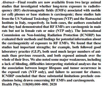 testing rf impact on rats|ICNIRP Note: Critical Evaluation of Two Radiofrequency Elect.